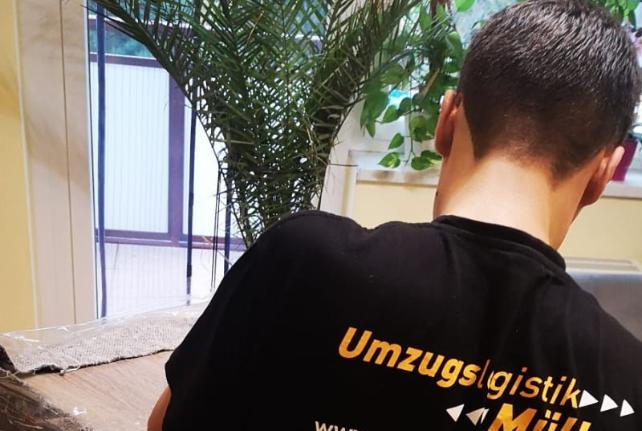 Laborumzug Obergurig stressfrei umziehen 